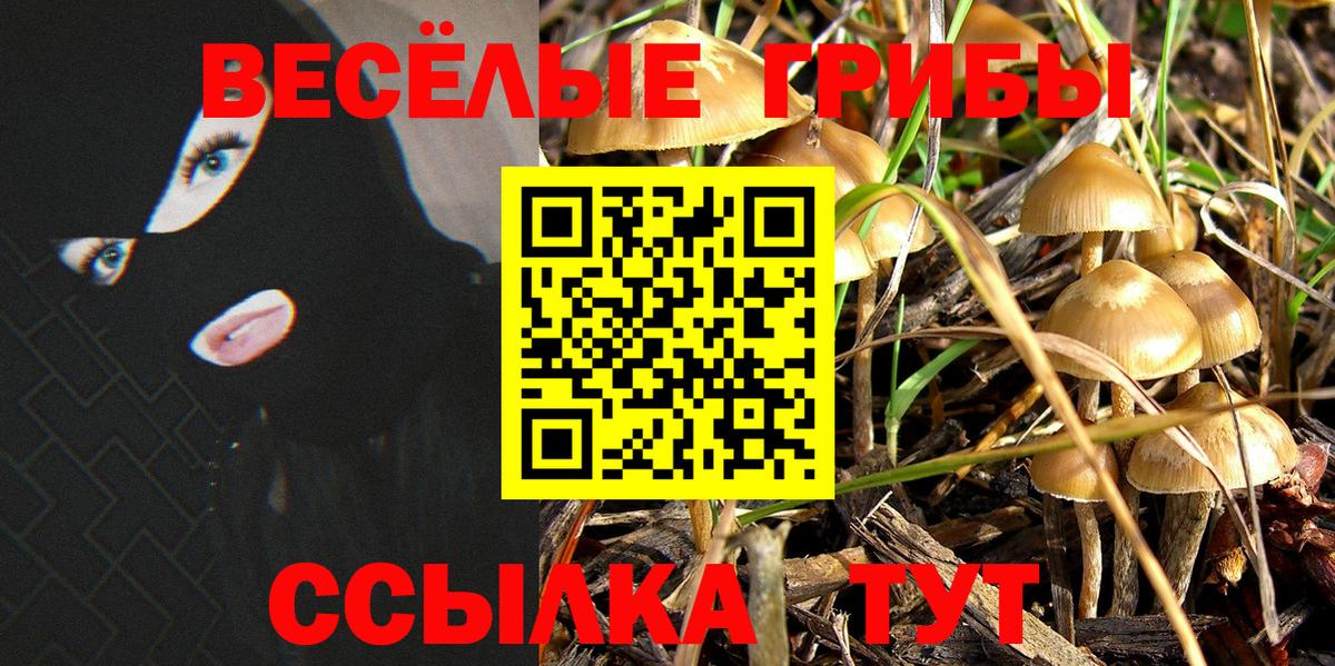 Псилоцибиновые грибы ЛСД Горно-Алтайск