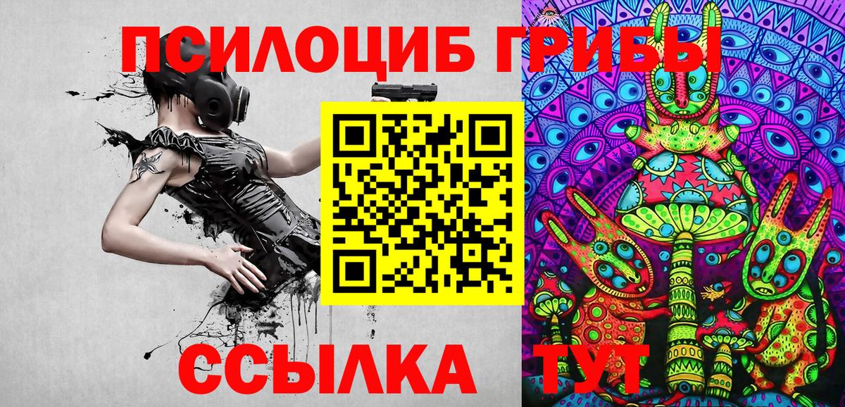 Псилоцибиновые грибы Psilocybe  Вход с VPN  Горно-Алтайск 